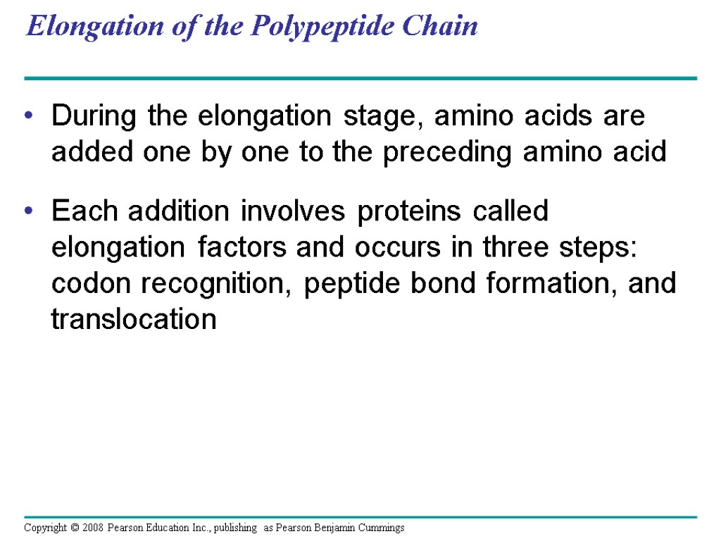 Elongation of the Polypeptide Chain During the elongation stage, amino acids are added one